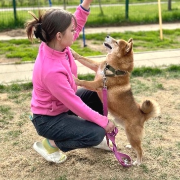 Собаки в добрые руки - ЖанЖак - 2