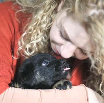 Собаки в добрые руки - Нора - 1