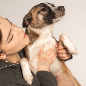 Собаки в добрые руки - Салли - 4