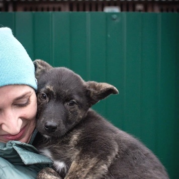 Собаки в добрые руки - Босс - 2