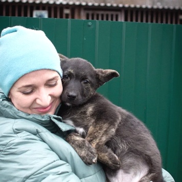 Собаки в добрые руки - Босс - 4
