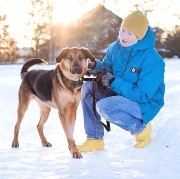 Собаки в добрые руки - Пеле - 3
