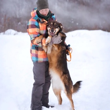 Собаки в добрые руки - Ариэль - 4