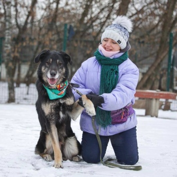Собаки в добрые руки - Лавр - 3
