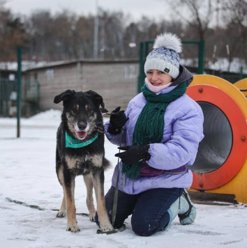 Собаки в добрые руки - Лавр - 4
