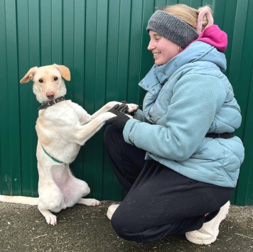 Собаки в добрые руки - Эльза - 1