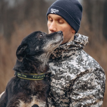 Собаки в добрые руки - Артём - 4