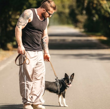 Собаки в добрые руки - Налла - 1