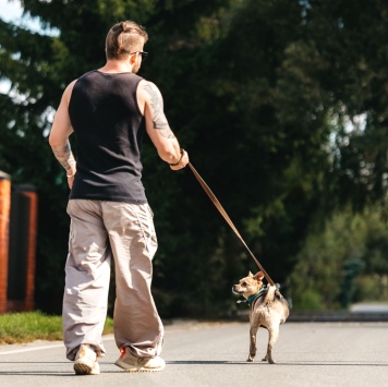 Собаки в добрые руки - Чупик - 3