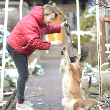 Собаки в добрые руки - Николь - 2