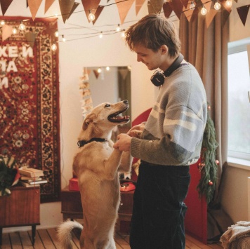 Собаки в добрые руки - Лунтик - 2