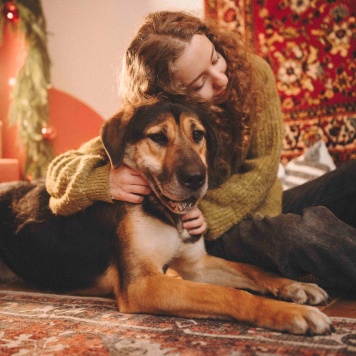 Собаки в добрые руки - Сиба - 3