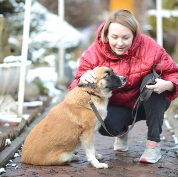 Собаки в добрые руки - Николь - 2