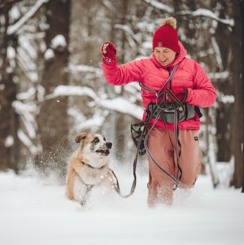 Собаки в добрые руки - Сапсан - 4