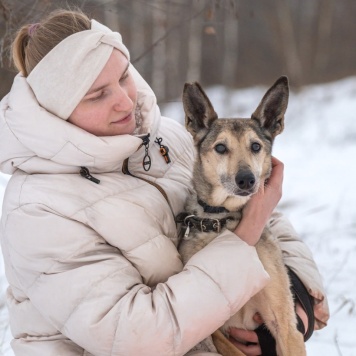 Собаки в добрые руки - Чук - 4