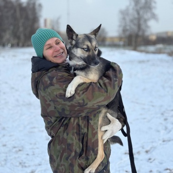 Собаки в добрые руки - Клюква - 4