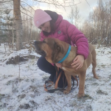 Собаки в добрые руки - Ричард - 2