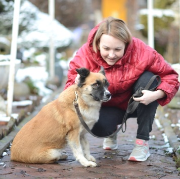 Собаки в добрые руки - Николь - 1