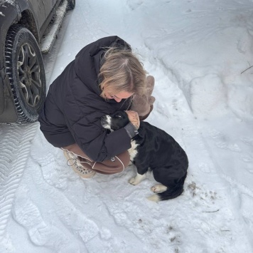 коротышка - Собаки в добрые руки