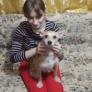 Собаки в добрые руки - Малышка - 1