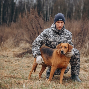 Собаки в добрые руки - Лада - 1
