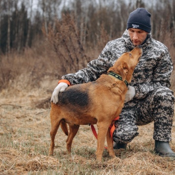 Собаки в добрые руки - Лада - 4