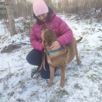 Собаки в добрые руки - Ричард - 1