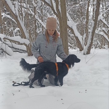 Собаки в добрые руки - Ричард - 2