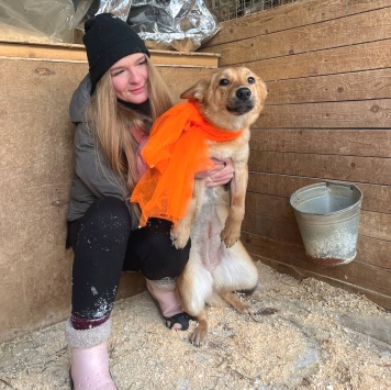 Собаки в добрые руки - Яшма - 4