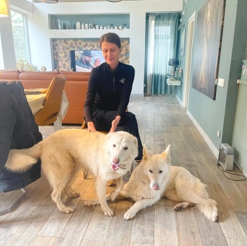 Собаки в добрые руки - Вииа - 1