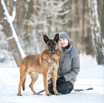 Собаки в добрые руки - Каир - 2