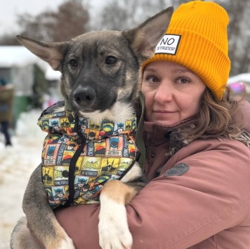 Собаки в добрые руки - Любимчик