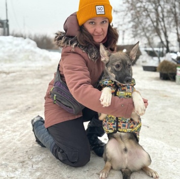 Собаки в добрые руки - Любимчик - 4