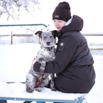 Собаки в добрые руки - Леди - 3