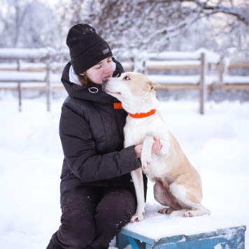 Собаки в добрые руки - Энжи - 1