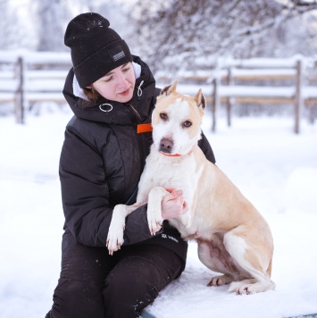 Собаки в добрые руки - Энжи - 4