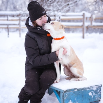 Собаки в добрые руки - Энжи - 3