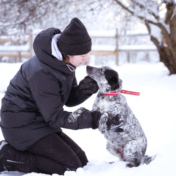 Собаки в добрые руки - Леди - 2