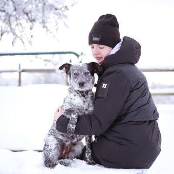 Собаки в добрые руки - Леди - 3