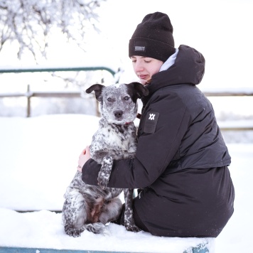 Собаки в добрые руки - Леди