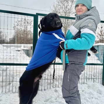 Собаки в добрые руки - Ройуш - 1