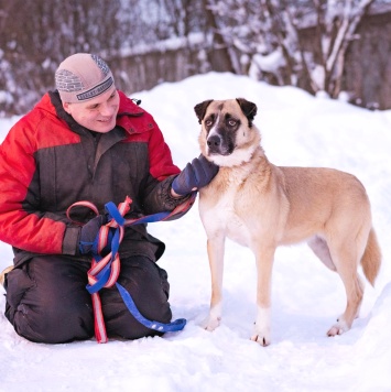 Собаки в добрые руки - Ханна - 1