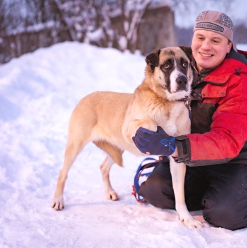 Собаки в добрые руки - Ханна - 3