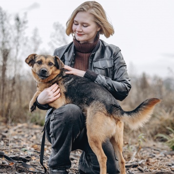 Собаки в добрые руки - Боби - 2