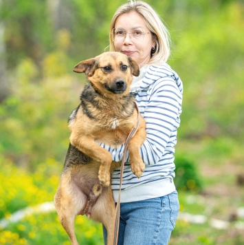 Собаки в добрые руки - Боби - 4