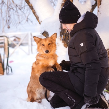 Собаки в добрые руки - Руди - 2