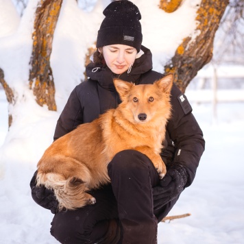 Собаки в добрые руки - Руди - 4