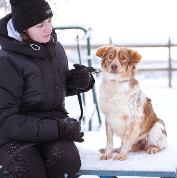 Собаки в добрые руки - Феня - 1