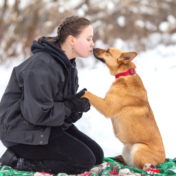 Собаки в добрые руки - Фокси - 3