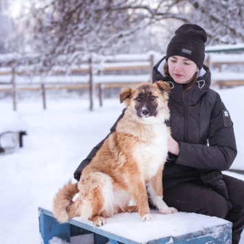 Собаки в добрые руки - Лаффи - 3